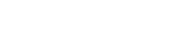 Premiere Computer Solutions Logo in White